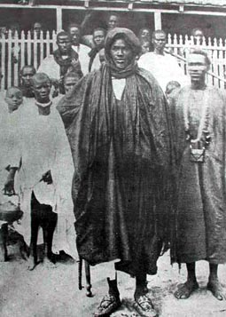 mame cheikh ibra fall